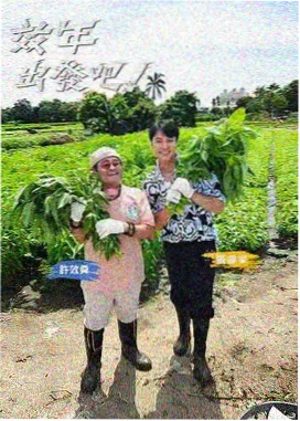 章节回顾模板资讯配图